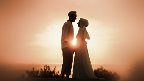 پروژه پریمیر فرمالیته باغ سرمجلسی 7116