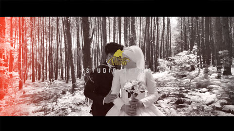 پروژه پریمیر فرمالیته باغ سرمجلسی 7123